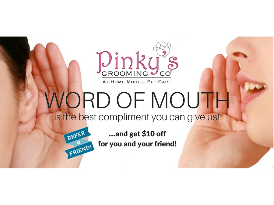 Pinky's Pet Care groomer at work