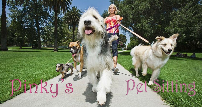Pinky's Pet Care in-home pet sitting